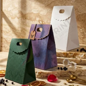 custom die cut handle bags 