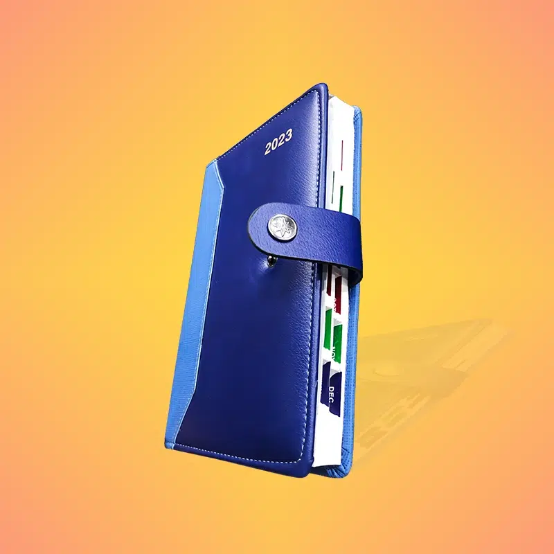 Customize Pint Diaries