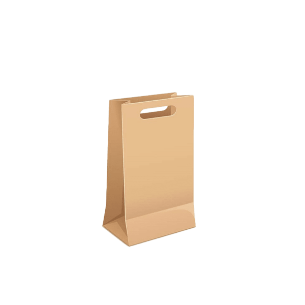 Custom Paper Bags