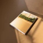 Custom Booklet Printing