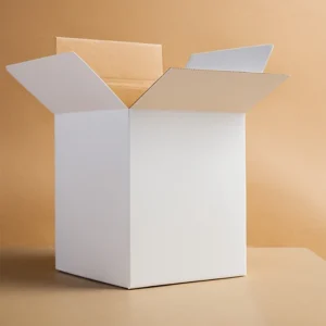 Solid Bleached Sulfate cardboard